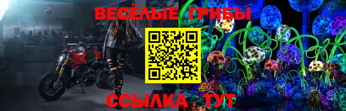 Псилоцибиновые грибы Psilocybine cubensis Орск