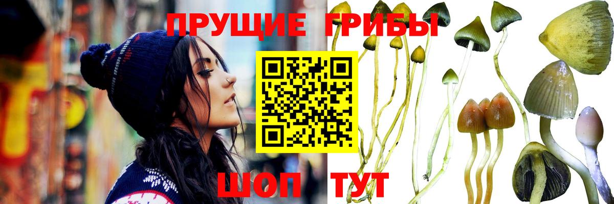 Галлюциногенные грибы прущие грибы  Вход с VPN  Орск 